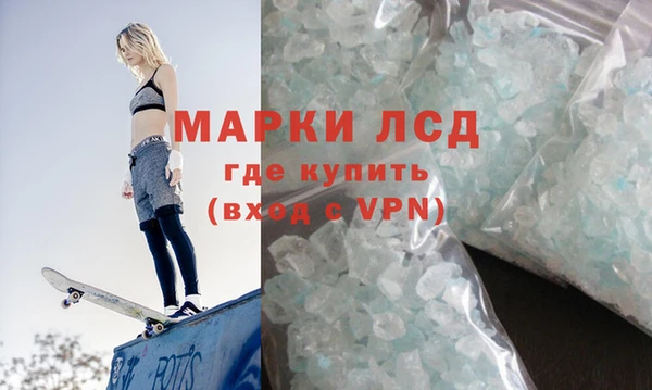 стаф Сосновоборск
